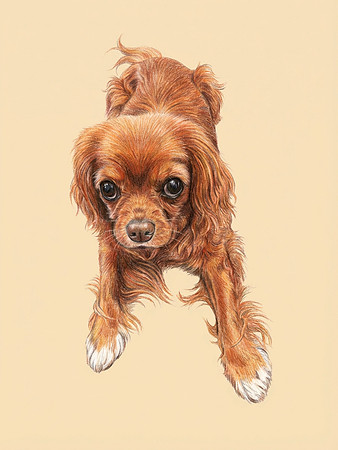 transform in to drawing of dog isolated on solid background_