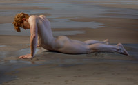 Narcissus