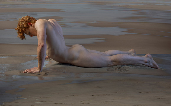 Narcissus