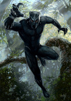 T'Challa - The Black Panther  -  Marvel Studios