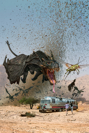 Dragons Gone Wild - Baen Books - Dan Koboldt