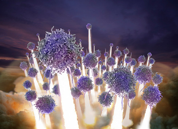 Tremzi - Boost T Cell Activation - Abelson Taylor