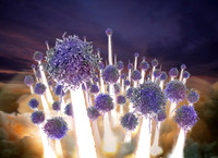 Tremzi - Boost T Cell Activation - Abelson Taylor